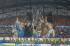37-OM-BREST 18